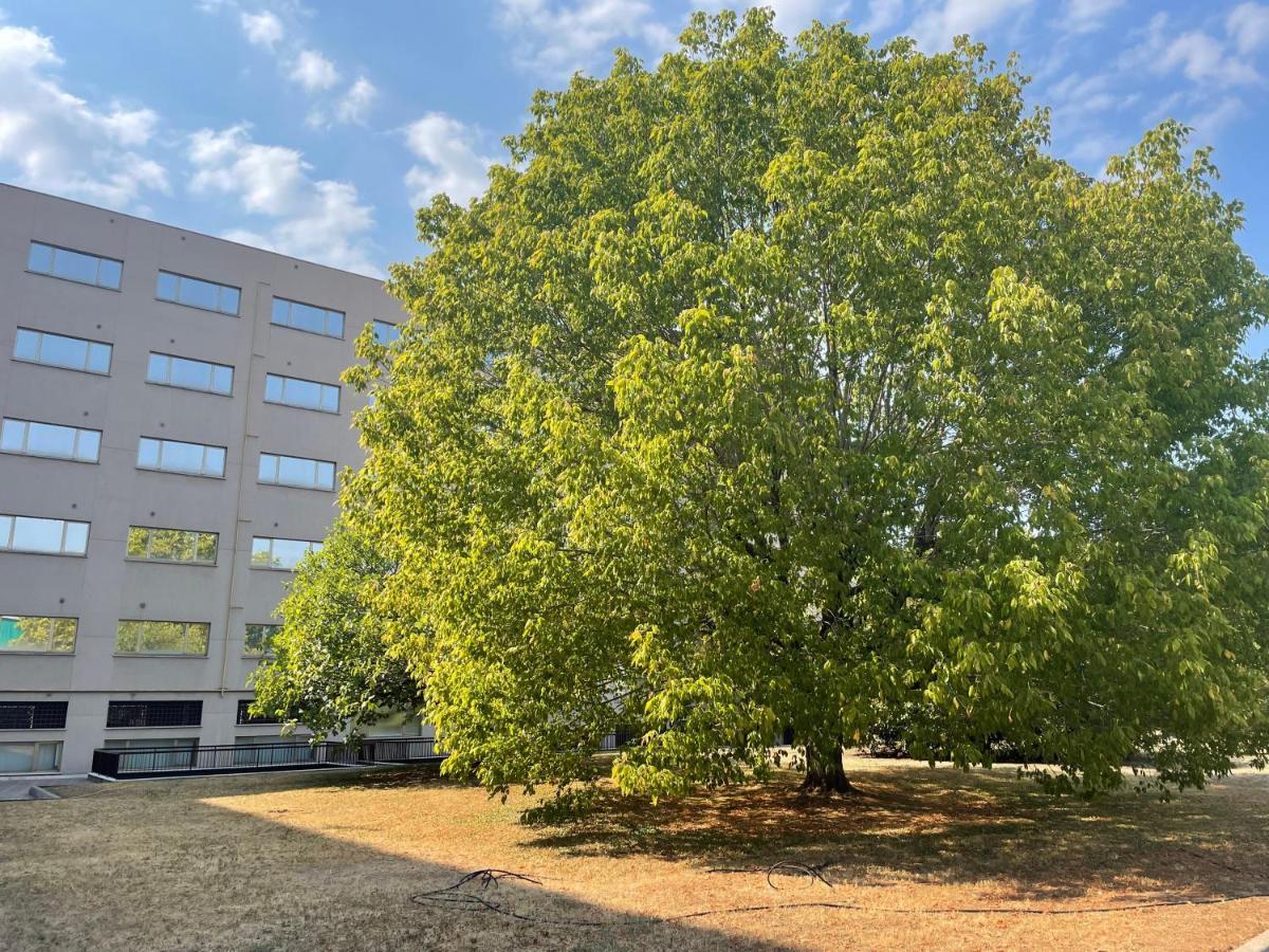 Residence Hotel Torino Uno מראה חיצוני תמונה